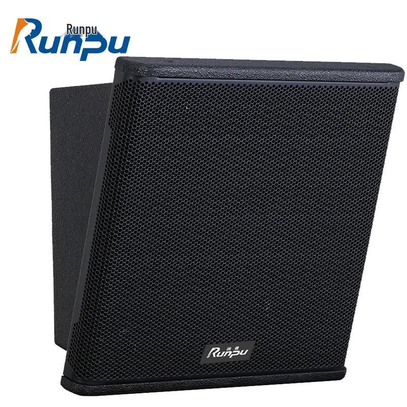 

Runpu Dual 8-inch Coaxial Conference Speaker (CN version)