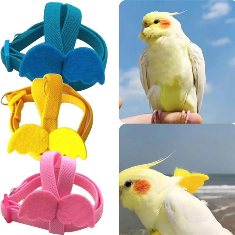Set Guinzaglio Pettorina Regolabile per Pappagalli Uccelli Pettorina da Addestramento Anti-morso Pappagalli Corda Volo Esterno Calopsitta Piccoli Uccelli Forniture