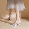 Nai Pai Silver Pointed High Heels Women's 2025 Summer New Versatile Small Fresh Thin Heel Bag Head with Sandals