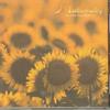 CD VARIOUS  Naturally In The Daylight PICL1232 PIONEER LDC 2001 Japan New Age  Easy Listening Used