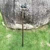Brangdy Adjustable Trekking Pole
