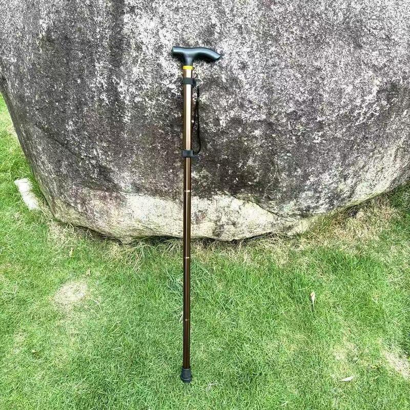 Brangdy Adjustable Trekking Pole
