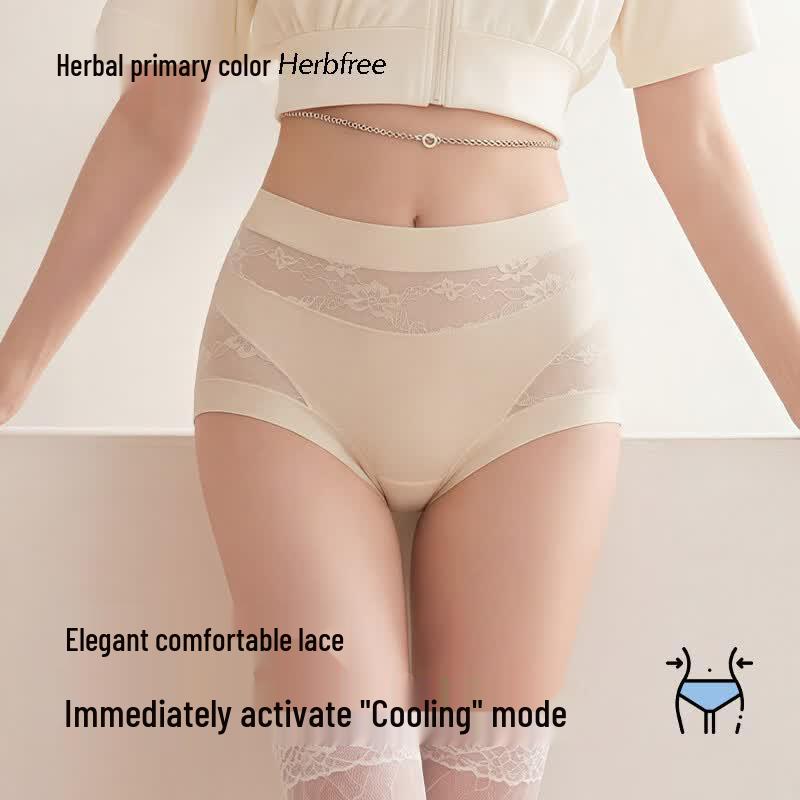 Women s Seamless Lace High-Waist Ice Silk Briefs XXL