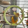 Wear-Resisting Parrot Swing Ring Cloud Star Ornament Parrot Perch Bird Stand  Cockatiel
