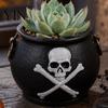 Embossed Skull Planter Witches Cauldron Planter, Halloween Flower Pot, Gothic Resin Haunted House Prop Black Pot Candy Bowl for Herbs, Indoor, Outdoor
