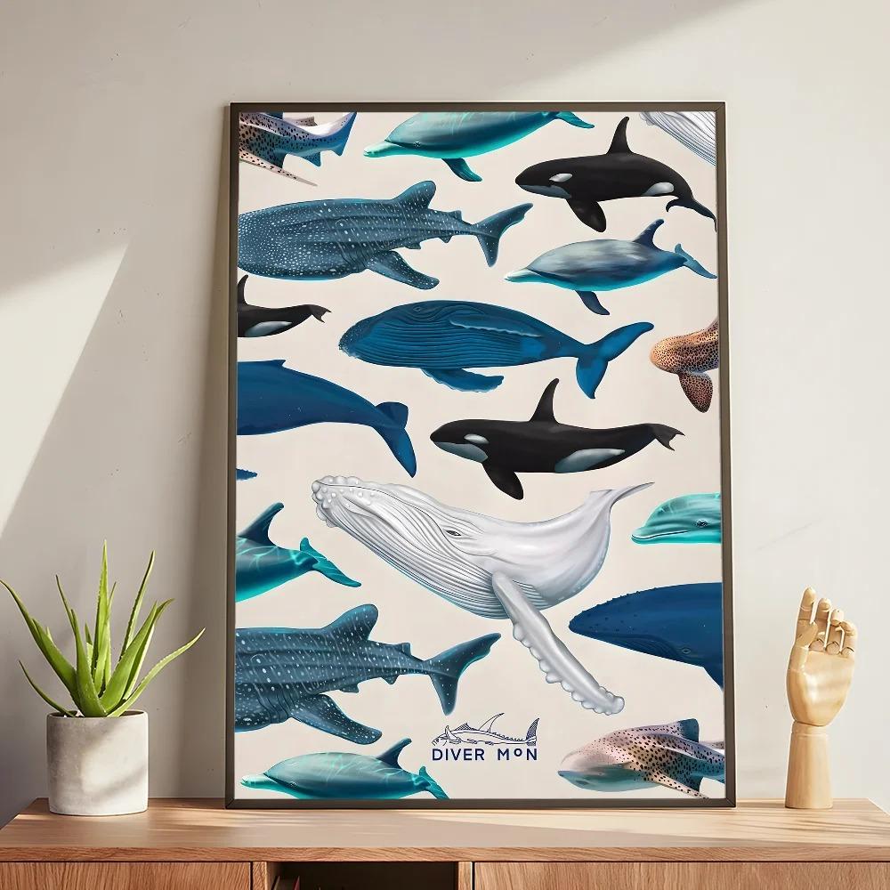 Whale and Shark Seashells Turtles Octopus Fish Marine Life Ocean Animals Poster and Print Canvas Painting  Wall Art Home Living Room