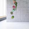 Dangling Colorful Ceramic 6 Pot Set Wall Mount Flower Cactus Planters Home Decor