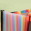 Expanding File Folder 12 Pockets A4 Size Filing Folder Organizer Large Capacity Portable AccordianFile Box for Classroom Office