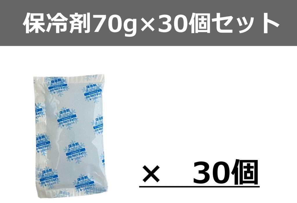 Bulk 70g Ice Packs of Larger 70g Packs Keeps Food and Fresh Food Perfect for Cooler Cooler Delivery and Outdoor Activities Made In Japan (Pack 30) -
