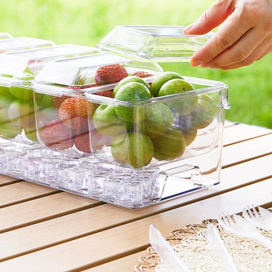 Outdoor Crisper with Lid Multi-Grid Transparent Food-Grade Container Dustproof Spill-Proof Lunch Box for Camping Picnic And Refrigerator