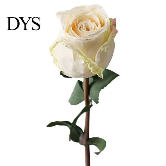 Rose Flower Decor Simulation Vibrant Color Thicker Petals Non-Withering Realistic Looking Bent Freely Decorative Artificial Plant Fine Texture Single