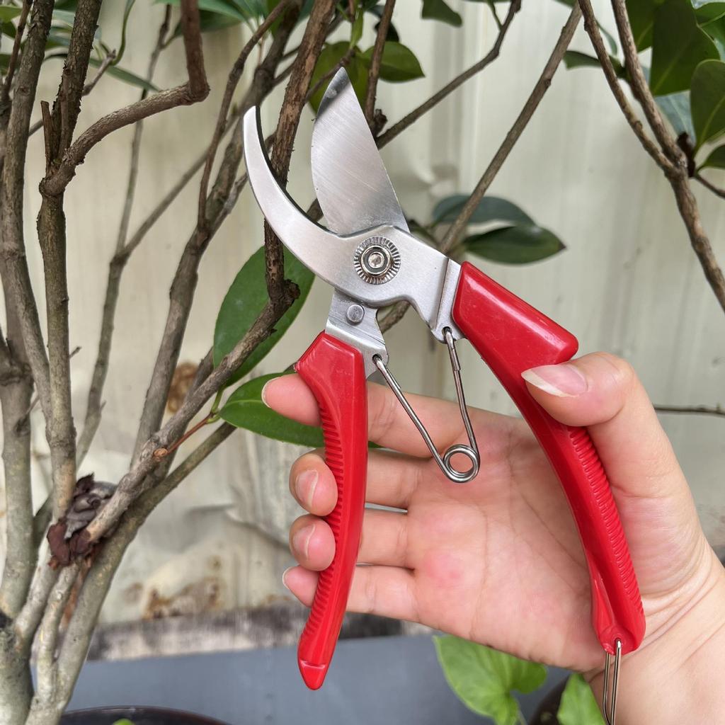 Stainless Steel Pruning Shears for Thick Branches and Fruit Trees