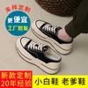 Inner first layer sheepskin canvas shoes 2025 spring new women's shoes heightened platform shoes women's casual versatile white shoes