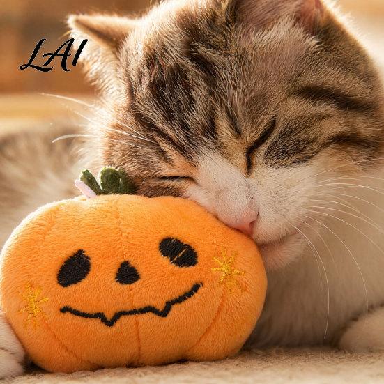 Plush Cat Toy Halloween Theme Toy Soft Ghost Bat Pumpkin Cute Stuffed Chew for Indoor Cats Boredom Relief Holiday Pet Photography Props