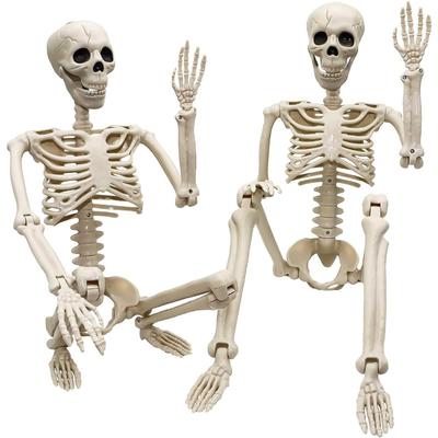 Human Skeleton with Full Body Posable Joints Plastic Skeleton for Halloween Skeletons Decor Yard Patio  Skeleton Props Spooky Party Decoration