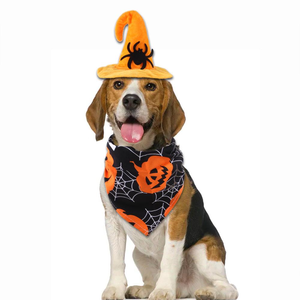 Halloween Haustierhut Sabberhandtuch Set Katze Hund Kostüm Fledermaushut Kürbis Sabberhandtuch Katzenkostüm Lustiges Haustier Feiertagszubehör