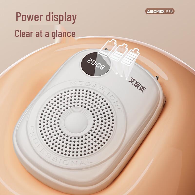 Aishome K18 Amplificateur Vocal Portable Sans Fil Microphone Prise CN (adaptateur inclus) (Version CN)