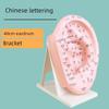 Teaching Version Auricular Points Model Multi-Acupoint Acupuncture Ear Acupuncture Model Auricular Points Mold Extra Large Ear Model with Bracket