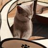 Pet Tent  Octagonal Cage  Fence  Cat Cage  Foldable Cat Cage  Super Home Cat Nest  Four-season Universal Cat Delivery Room