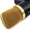 GBTIGER BM - 100FX USB Condenser Sound Recording Microphone