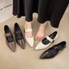 French thick heel Velcro shallow mouth single shoes women's 2025 spring and autumn new pointed foreign style versatile Mary Jane small leather shoes