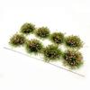 Miniature Vegetation Scene Model Simulation DIY Sand Table Grass Cluster  Landscape Decoration
