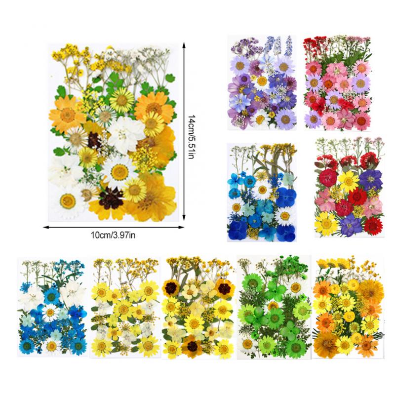 Trockenpflanzen Aufkleber, Echte Blumen Aufkleber, Gepresste