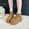 Design Sense Fleece Snow Boots Women's Winter New Fleece Thick-soled Warm Zipper Cotton Shoes