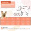Astarin Dog Harness No Pull, Medium, 2 Leash Clips, Adjustable Soft Padded Vest with Handle, Reflective No Choke Design, Black, M