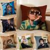 Electronic Music Pop Singer E-Ed Sheeran-MT Pillow Case Printing Pillowcase Living Room Sofa Cushion Cover Bedroom Room Decor