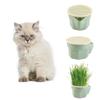 Hydroponic Cat Grass Box Planter Reusable Hierarchical Design Microgreens Growing Kit Detachable Cat Grass Growing Pot