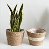 Seagrass Planters, Cover Storage Basket Containers Hand Woven Straw Pot with Plastic Liners for Indoor Outdoor Plant, Flower