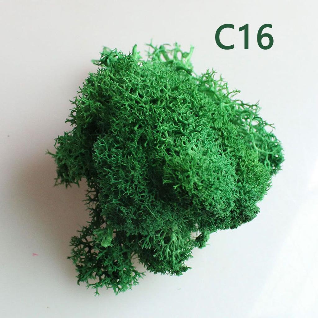Colorful DIY Wedding Flower Home Decor Christmas Artificial plant Micro Landscape Eternal Life Moss Reindeer Moss