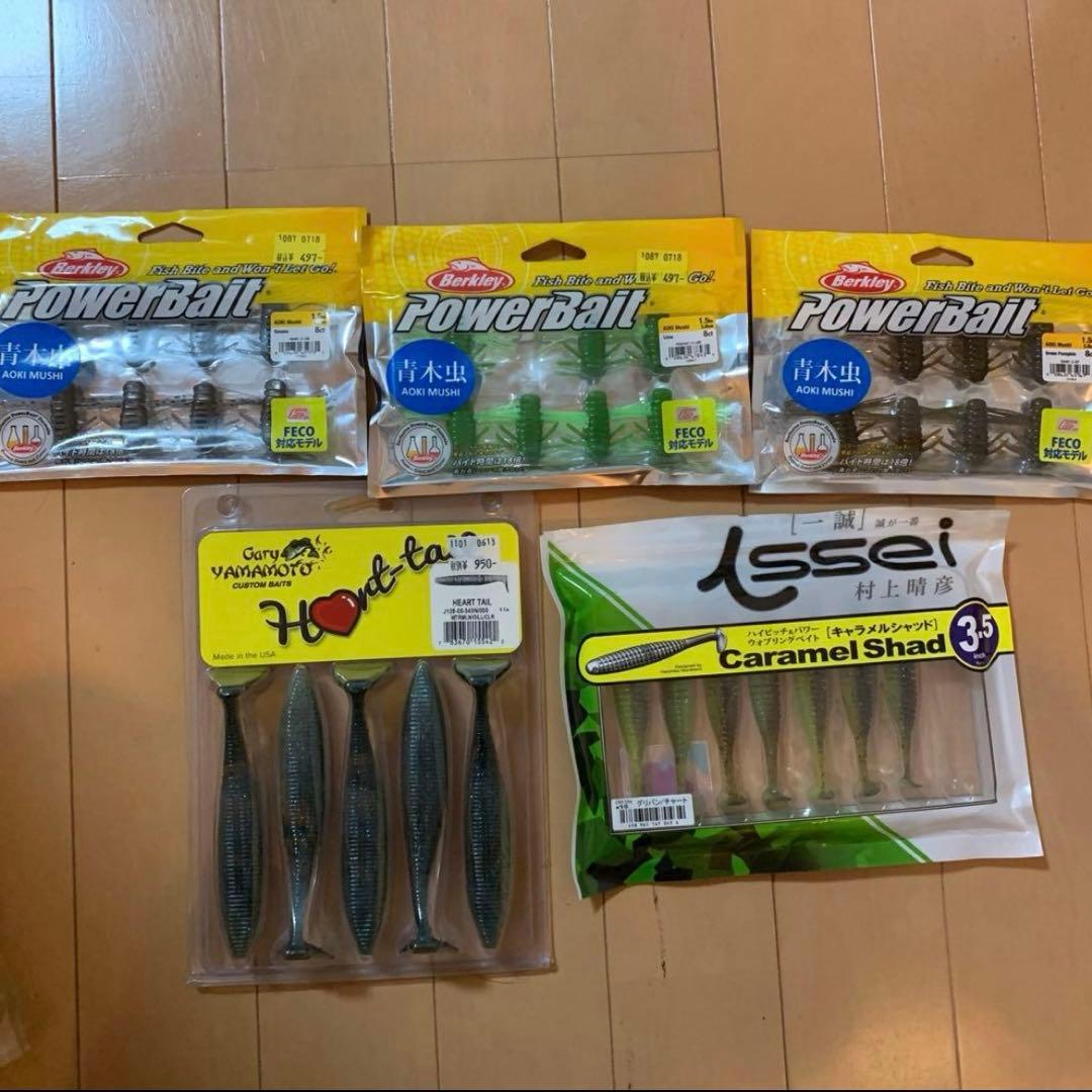 Bass fishing worms 5-piece set