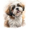 Shih Tzu Full 14CT DIY Counted Cross Stitch Kits for Beginners Adults Home Wall Decor Needlework Embroidery Kit 40x50cm