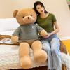 Cartoon Bear Teddy Animal Plush Doll Bear Pillow Soothing Sleep Gift Birthday