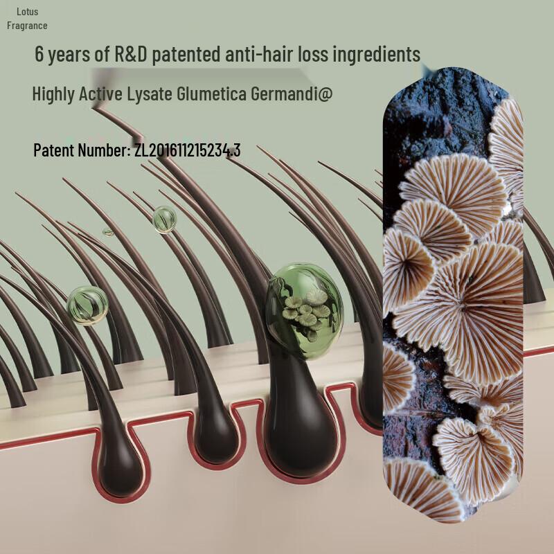 Hexin Anti-Hair Loss Hair Growth Shampoo Set