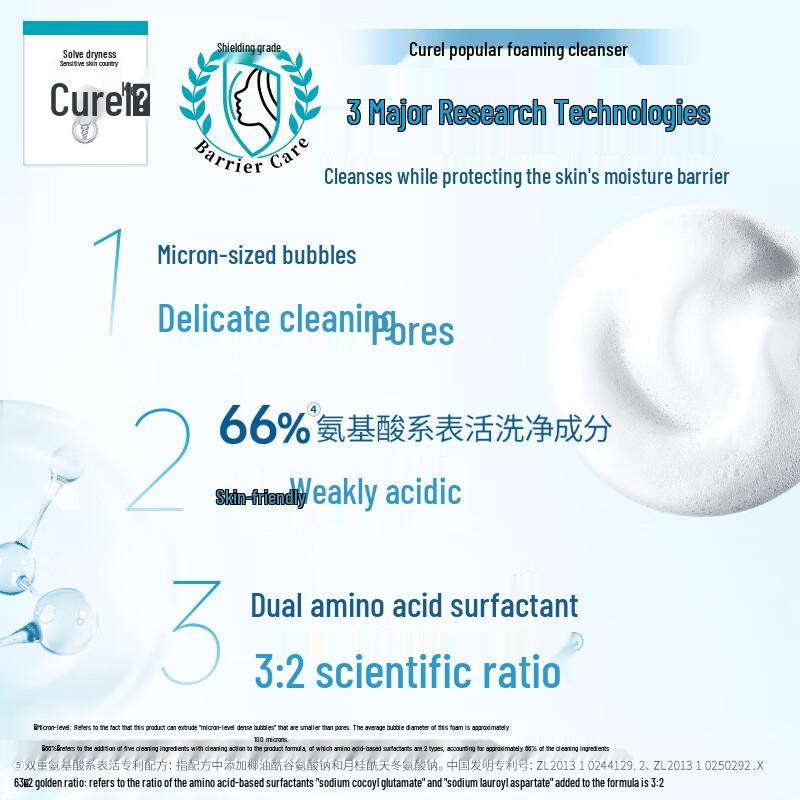 

Curel Intensive Moisture Care Foaming Cleanser