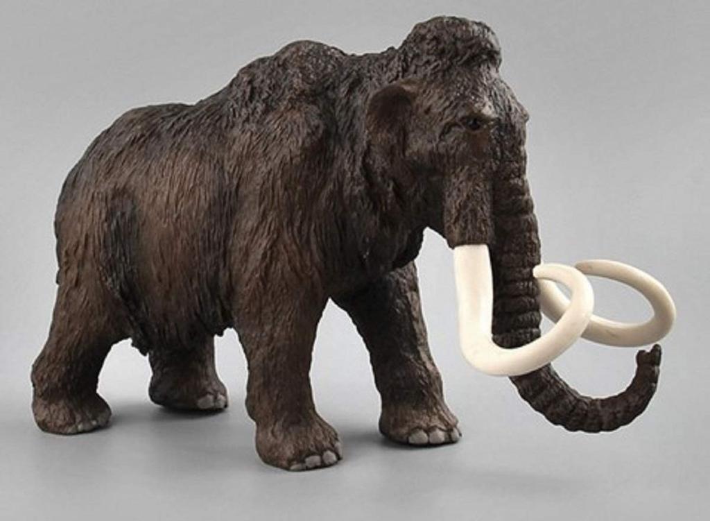 Large Animal Figurines: Lion, Tiger, Rhinoceros, African Elephant, Mammoth. These Realistic Animal Figurines Are Perfect for Creating Your Own Zoo or