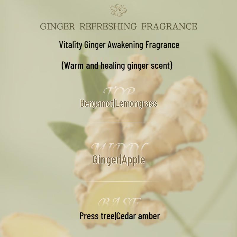 Shampoo per Capelli Giapponese Importato AnZhili 500ml