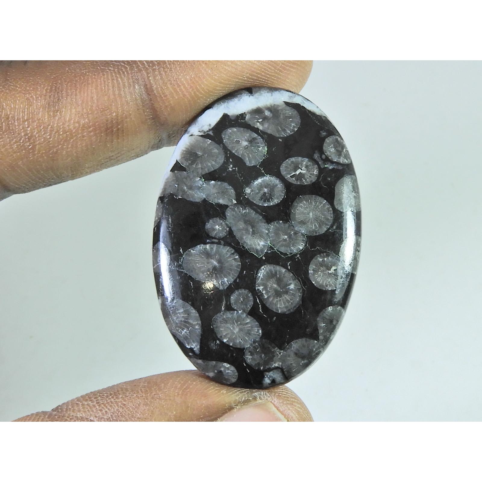 55Cts. Натуральный Черный Ископаемый Коралл Овальный Кабошон Россыпной Драгоценный Камень 28X41X05 ММ B-335