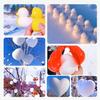 Children's Outdoor Winter Snowball Clips, Toy Clips, Snowball Fights, Snow Picking Tools, and Little Ducks with Various Shapes