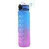 # 1000ML Drink Bottle Frosted Gradient Sports Water Bottle (Blue+Purple)