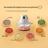 BURNELL Panda Meat Grinder TRJRJ 2L01