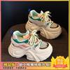 Internet celebrity dad shoes women super fire 2025 autumn new thick-soled mesh breathable sports leisure inner height increase white shoes