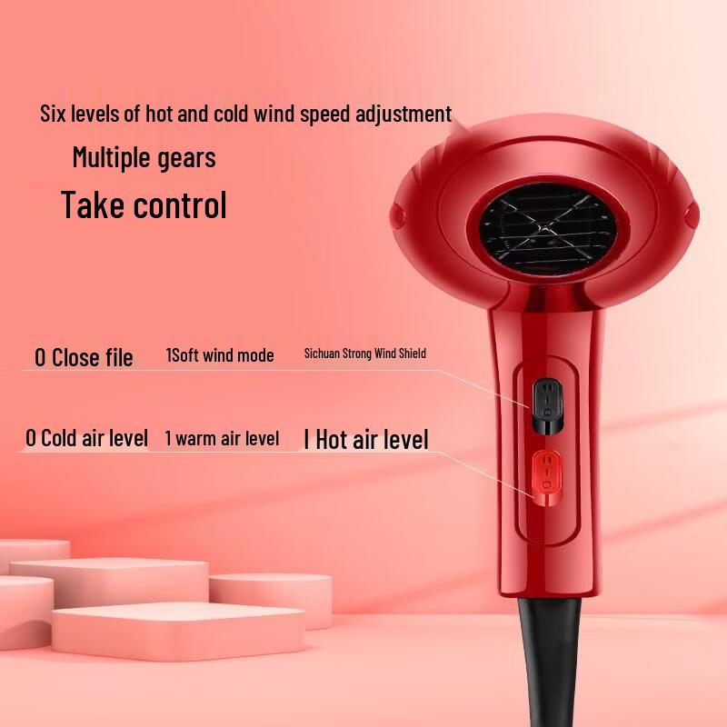 LISM Professional High-Power Negative Ion Hair Dryer
