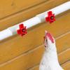 Chicken Water Cups For Poultry Automatic Poultry Water Feeding Cups Good Sealing Tee Fittings Poultry Waterer For Chickens Ducks