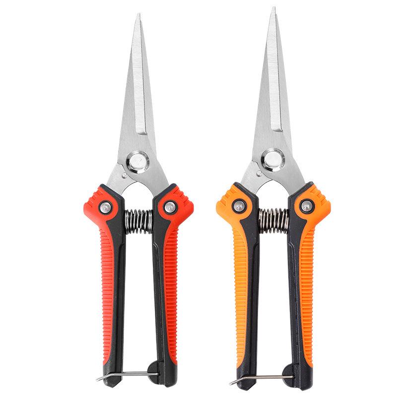 Customized Stainless Steel Pruning and Grapes Shear Set - Includes Garden Tools and Fruit Picking Scissors.