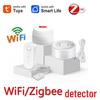 Tuya Zigbee WiFi Smart Water Leak Detector & Alarm for Kitchen