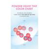 AMUSE Powder Velvet Tint 3.3g (8 Colors)